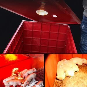 羊羔两用猫狗仔猪保温箱小猪保暖箱恒温兔子育雏用品简易小狗分娩