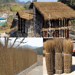 楠竹枝竹枝条景区栅栏装饰围栏竹子屋顶竹护栏民宿天然农家篱笆