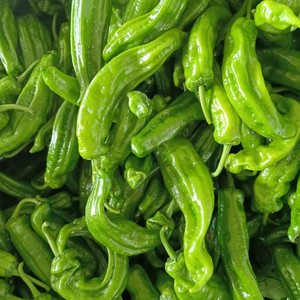 不辣的辣椒新鲜