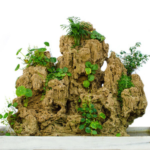 大型 吸水石 假山盆景r原石天然上水石芦管石水池石头流水装饰摆