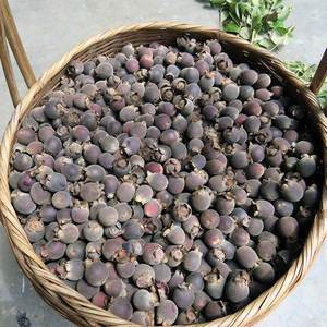 稔子果桃金娘新鲜棯子岗菍山上野果山捻子水果野生乌多尼3斤包邮