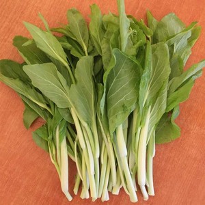 【湖北特产苔菜】湖北特产苔菜品牌,价格 - 阿里巴巴