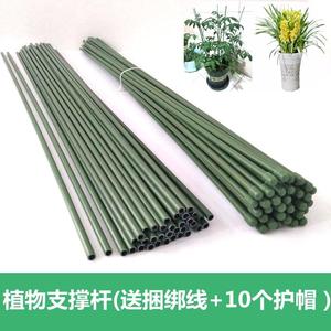 6m空心钢管植物支m球撑棍养花支架花草扶正绣龟竹惠兰0定背型花杆