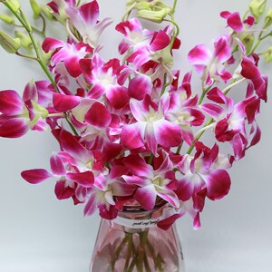 进口洋兰鲜花酉餐装饰插花节日花束水养包月广州云南直发同城速递