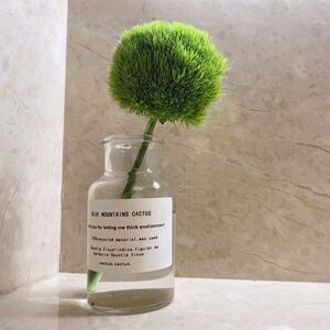 绿毛球水培夏季耐养水养鲜花绿石竹绿色配花进口绿毛球鲜花5支