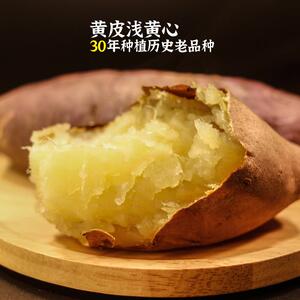 山东威海荣成特产蜂蜜罐新鲜超甜糯蜜薯淡黄心榴莲口感超绵密
