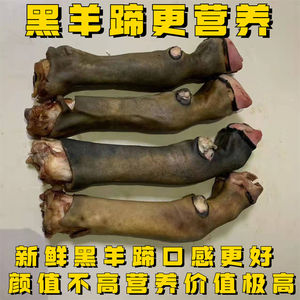 黑山羊羊蹄4斤新鲜现宰现卖清真散养山羊蹄整只筋多肉生鲜黑羊蹄
