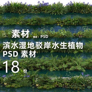 25滨水公园湿地驳岸水生花卉灌木植物效果图景观环艺PSD PNG素材