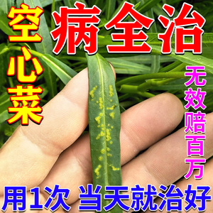 3秒治好】空心菜专用药肥料白锈病农药轮斑炭疽病毒病万能杀菌剂
