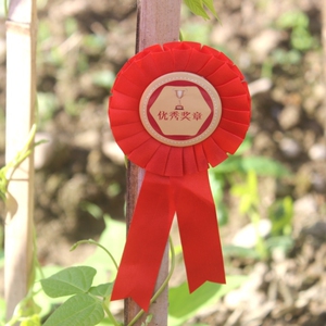 小红花胸花幼儿园