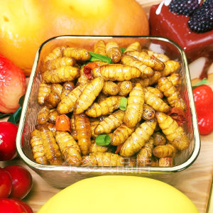 油炸即食香酥金丝蛹熟食昆虫香辣桑蚕蛹小黄蛹蝉蛹虫子美食小零食