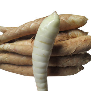 广东阳江新鲜竹薯薯竹芋薯东京薯冬5斤装竹薯新鲜竹芋新鲜大冬薯