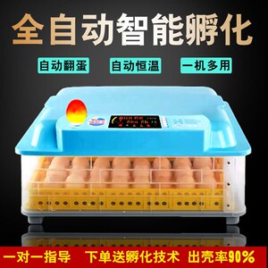 001人付款淘宝孵化器小型家用全自动智能孵蛋器鸟蛋小鸡柯尔鸭鹦鹉