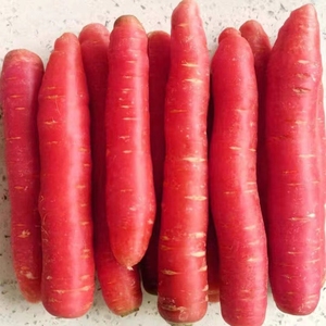 四川新鲜水果萝卜红萝卜胡萝卜沙地萝卜农家自种包邮生吃蔬菜