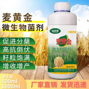 麦黄金水溶肥小麦叶面肥专用肥小麦增产专用麦黄金中微量元素