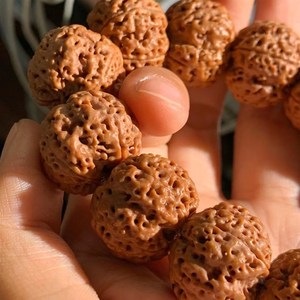 新品爆肉双龙尼泊尔大金刚菩提子手串男士菩珠子原籽文z玩提佛送