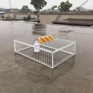 抓鸽子笼鸽笼只进不出防护逮鸽信鸽捕鸽神器全自动加密天落笼自动