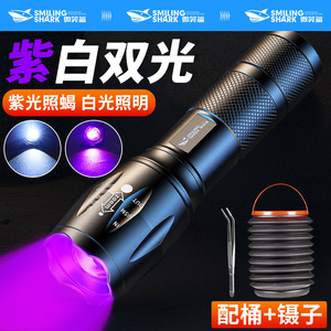 照蝎子专用紫光灯验钞灯395紫外线手电筒可充电大功率超强鉴定灯