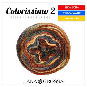 Colorissimo2 100%纯羊毛段染蛋糕线100克300米DIY衣服围巾帽子线