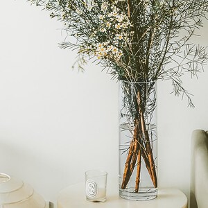腊梅花瓶玻璃透明梅花插澳洲腊梅高款插花长枝干支插树枝干枝花器
