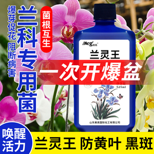 何花乔淘宝枯草芽孢菌杆菌兰花专用肥料黑斑病专用杀菌药肥料治黄叶