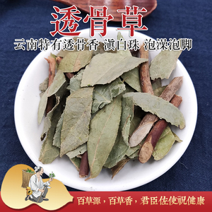 透骨草香味浓云南云贵特有药材透骨草 透骨香滇白珠泡脚无硫生晒