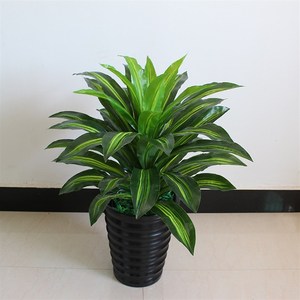 新品绿铁物树园艺装饰室内客厅落地店酒仿真s巴西植盆栽盆景