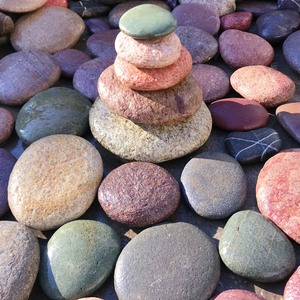 381人付款天猫乌龟晒台石头天然特大鹅卵石鱼缸造景大块扁平爬石台