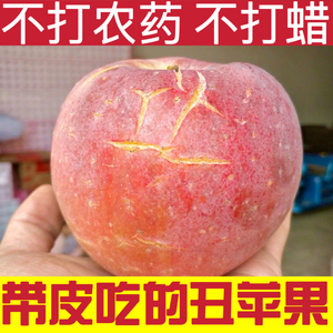 徐州丰县大沙河红富士苹果10斤特级脆甜野生新鲜水果冰糖心丑萍果