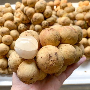 泰国龙宫果枇杷