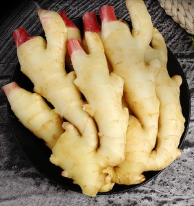 山东红芽嫩姜5斤姜芽当季新鲜蔬菜生姜农家小黄姜老姜糖醋姜包邮3