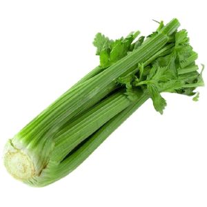 云南高山西芹新鲜水果西芹榨汁西芹现摘芹菜香芹新鲜蔬菜