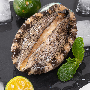 鲍鱼青岛九孔超大活鲍鱼贝类海鲜水产12头鲍鱼渔哥头等舱旗舰店239