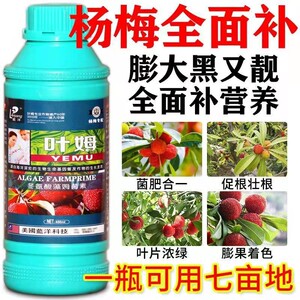 叶姆杨梅专用进口叶面肥氨基酸果树膨大剂防落素保花保果增甜着色