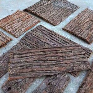 爬宠背景板树皮板石斛兰花植物墙木板爬虫造景装饰背景墙香杉房屋