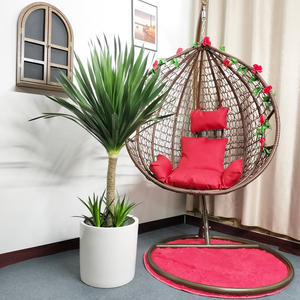 龙血树太空铁大型客厅落地绿植室内老桩造型龙须树乔迁新居盆栽