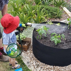 园林种植袋无纺布袋环保种菜种花种植箱家用阳台楼顶特大菜园花盆