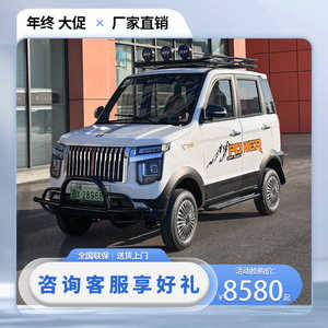 四轮电动车空调新能源越野接送大型小汽车封闭家用油电四轮代步车