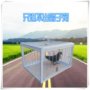 捕鸽神器抓鸽子收鸽笼天落笼自动只进不出养鸽笼撞门笼信鸽用品