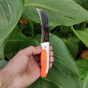 不锈钢香蕉刀小弯刀菠萝刀切菠萝蜜刀割菜刀水果店用刀家用小镰刀