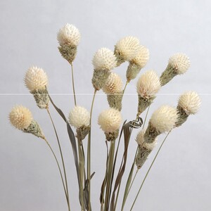 云南干花草莓果干花手工diy网红小花束百搭小清新插花家居装饰