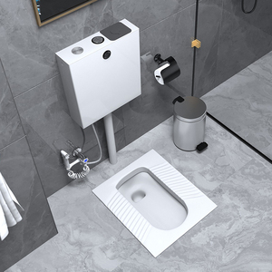 浪鲸洁具卫生间家用白色蹲便器防臭蹲坑式便池陶瓷带存水弯感应式