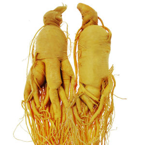 【参龄18年 长白山特大人参王】东北特产 送枸杞泡酒煲汤新鲜