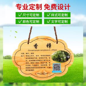 00婉则尚淘宝花草绿萝