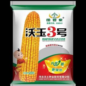 东风71玉米种简介图片