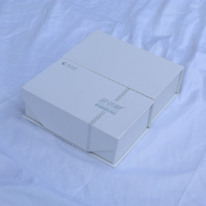 牙模盒 爱尔创瓷倍健义齿包装盒 厂家现货直销 可定制同款改logo