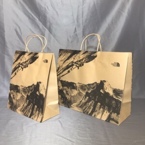 thenorthface北面纸袋户外运动礼品手提袋大号购物鞋盒羽绒服包装