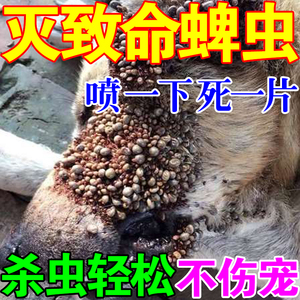 08娇莎百货店淘宝治跳蚤的药粉末沫家用神器宠物跳蚤粉猫去杀狗