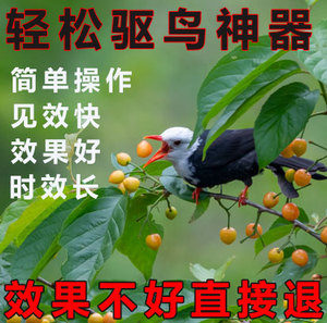 驱鸟专用药剂新型驱鸟灵神器果园果树驱鼠葡萄谷子樱桃无农害柿子
