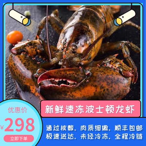 加拿大波士顿龙虾特大15斤波龙鲜活冷冻大龙虾3-15斤海鲜顺丰包邮